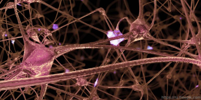 Вебинар «Коморбидная неврология», 27 апреля 2022 года