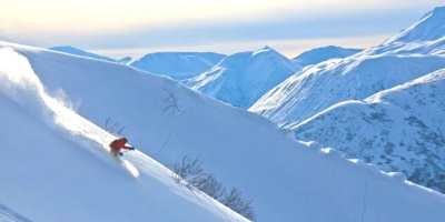 После трансплантации: «Я чувствую, что новое сердце гораздо сильнее, чем было мое»