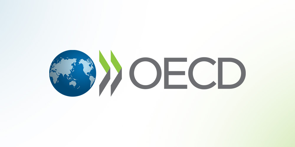 Сотрудники отдела демографии ознакомились с презентацией отчета ОЭСР 