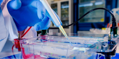 Конференция «Современные аспекты судебно-медицинской практики молекулярно-генетических исследований», 19 января 2023 года