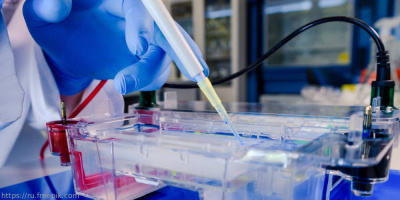 Конференция БСМЭ «Новые направления экспертных исследований биологических материалов», 17 февраля 2022 года 