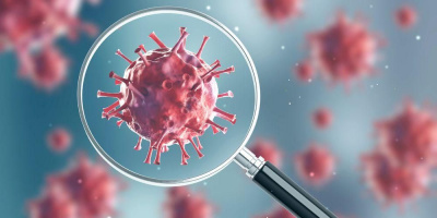 Представители отдела демографии НИИ приняли участие в вебинаре ВОЗ по освидетельствованию и кодированию смерти, связанной с COVID-19