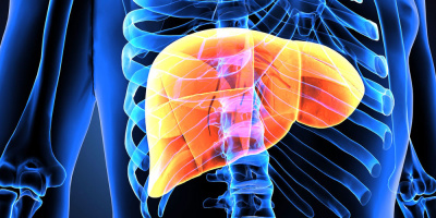 Конференция «Болезни печени в практике гастроэнтеролога и терапевта» 20 октября в 10:00