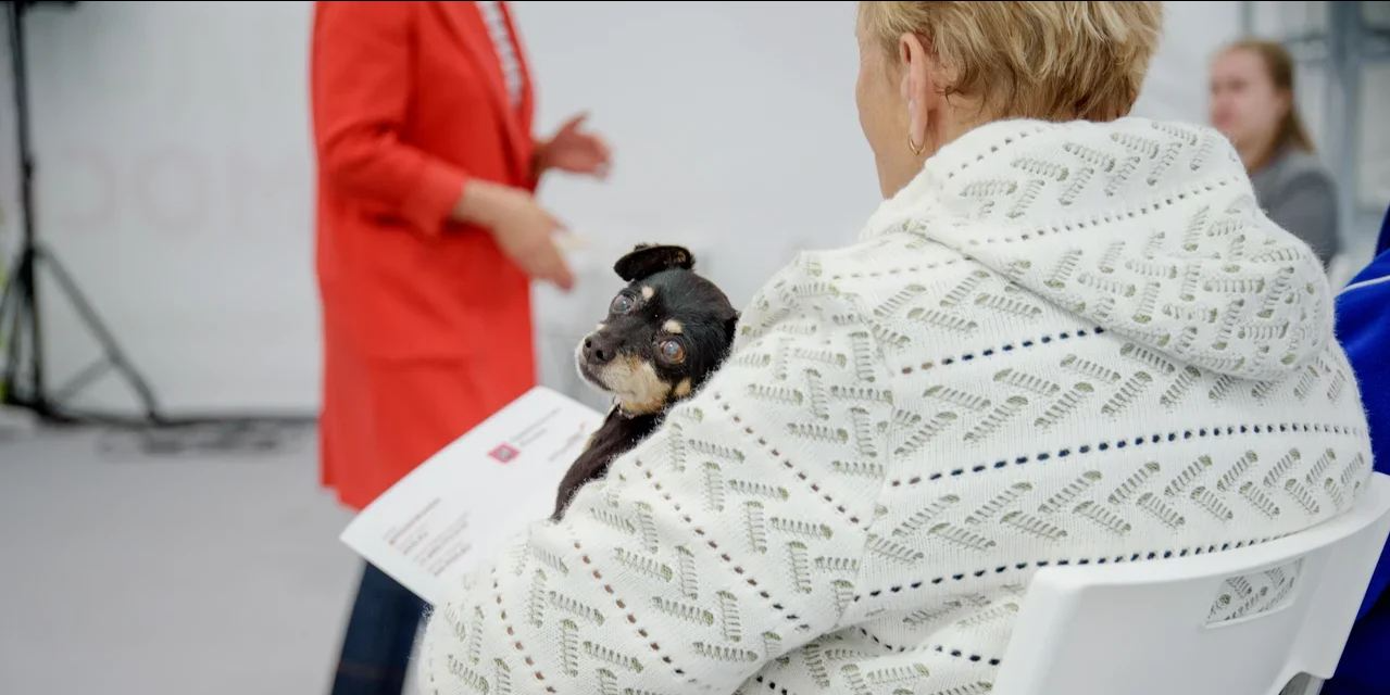 «Окно здоровья»: лекции диетолога и многое другое 14–17 сентября