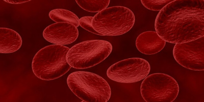 Вебинар «Тромбоэластография в клинической практике», 29 апреля 2025 года