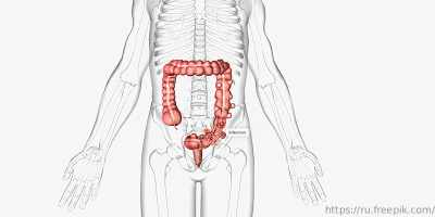  Московские врачи обсудят современные подходы к лечению проктологических заболеваний
