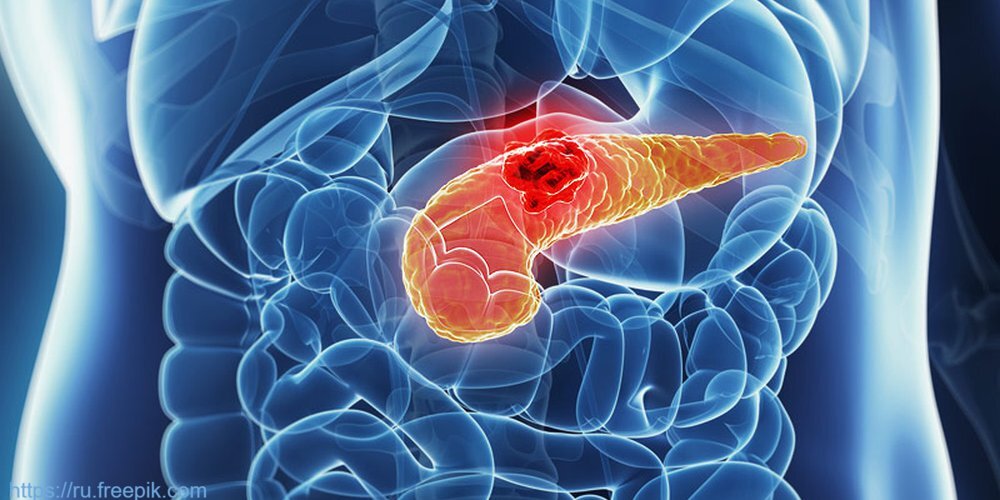 Сотрудники ОМО по гастроэнтерологии приняли участие в гастрошколе