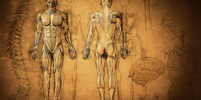 Онлайн-семинар «Ведущие факторы риска при коморбидной патологии, возможности фармакотерапии» 22 октября в 14:00