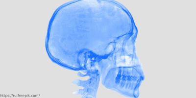 Конференция посвящена современному подходу к судебно-медицинской оценке черепно-мозговой травмы, 18 мая 2023 года