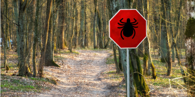 Клещевой энцефалит: история вопроса, диагностика, профилактика