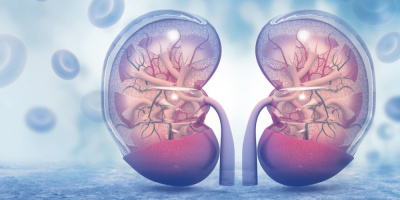 Организация нефрологической службы города Москвы в условиях карантина