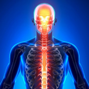 Конференция «Хирургия черепно-мозговой и позвоночно-спинальной травмы»