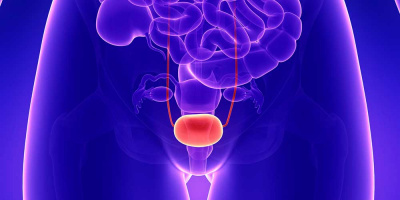 Вебинар по нейрогенной дисфункции нижних мочевых путей 26 февраля в 11:00