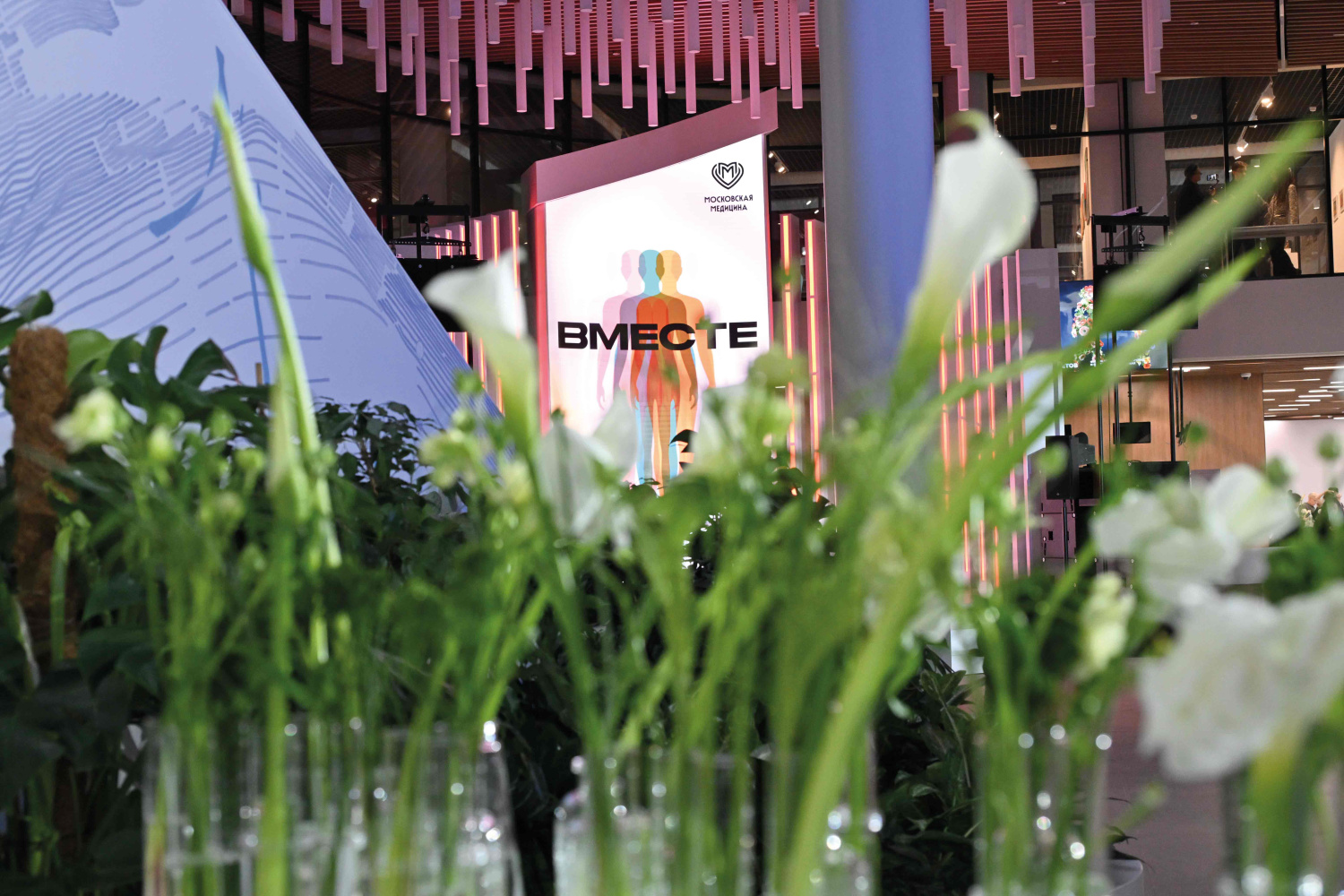 Искусство и медицина: рука об руку