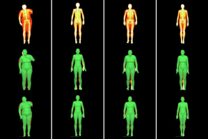 Новый метод 3D-сканирования для прогнозирования изменений состава тела (Великобритания, США)