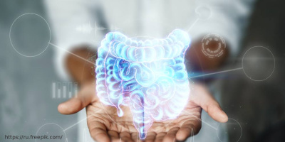 Состоялась школа по гастроэнтерологии