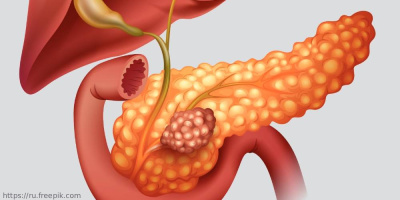 Состоялась конференция «Принципы дифференциальной диагностики и лечения заболеваний поджелудочной железы и желчных путей»