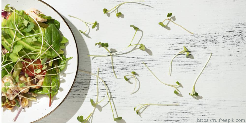 Стартовала информационная кампания «Здоровье на тарелке»