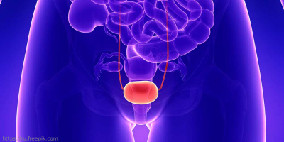 Вебинар по нейрогенной дисфункции нижних мочевых путей 26 февраля в 11:00