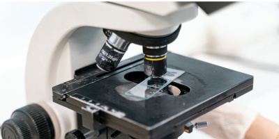 Конференция «Морфологическая диагностика причин смерти детей и новорожденных», 21 декабря