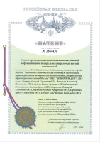 Способ предупреждения возникновения раневой инфекции при огнестрельных переломах костей конечностей