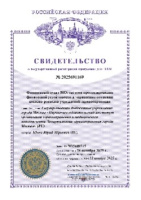 Финансовый аудит МО: система прогнозирования финансовой устойчивости и управления потоками доходов-расходов учреждений здравоохранения