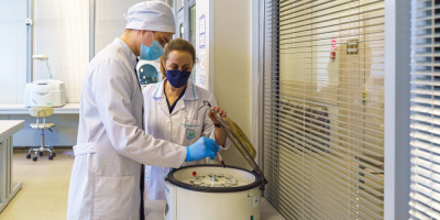 От студента к специалисту с поддержкой наставника