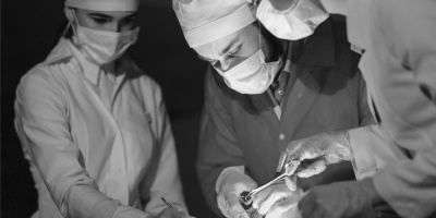 Владимир Петрович Демихов – один из основоположников мировой трансплантологии