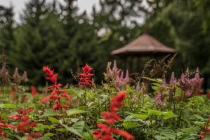 Здравоохранение на пути к углеродной нейтральности (Сингапур)