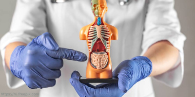 Состоялась конференция «Специфические и неспецифические воспалительные заболевания кишечника: проблемы диагностики и лечения»