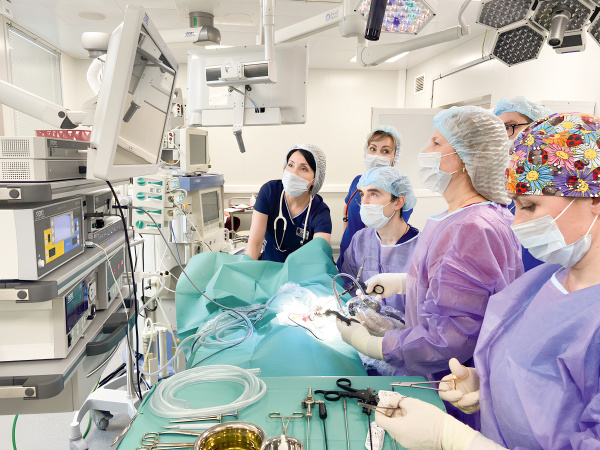 Торакоскопическое лечение атрезии пищевода