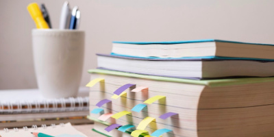 Аспиранты НИИОЗММ примут участие в конференции ИСЭПН ФНИСЦ РАН