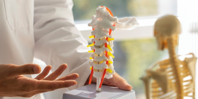 Семинар Московской школы детского травматолога-ортопеда имени профессора В. П. Немсадзе, 22 февраля 2023 года 