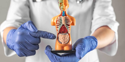 Состоялась конференция «Специфические и неспецифические воспалительные заболевания кишечника: проблемы диагностики и лечения»