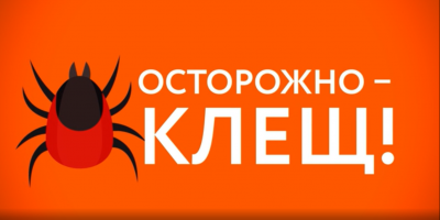 «Это должен знать каждый»: клещи