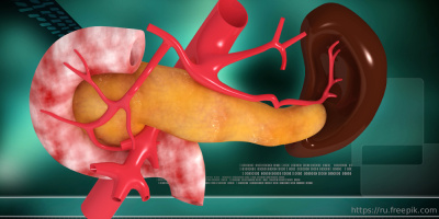 Конференция «Принципы дифференциальной диагностики и лечения заболеваний поджелудочной железы и желчных путей», 16 ноября 2021 года
