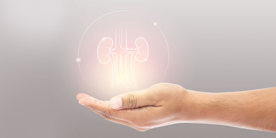 Вебинар для населения, посвященный хроническим болезням почек, 12 мая 2022 года