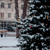 Итоги реализации региональных проектов. Цифры и факты