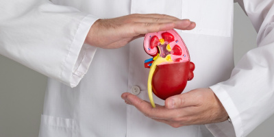 Международный день нефролога