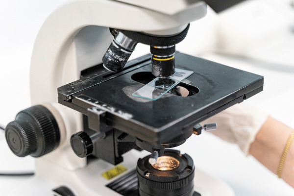 Генетические предикторы лекарственной гиперчувствительности замедленного типа