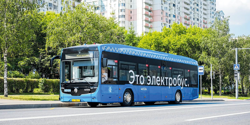 81.jpg